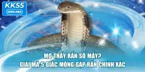 Mơ Thấy Rắn Số Mấy? Giải Mã 5 Giấc Mộng Gặp Rắn Chính Xác
